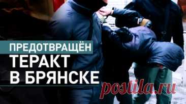 Готовил теракт: в Брянске задержали сторонника украинских националистов. В Брянске задержали сторонника украинских националистов, который принимал участие в подготовке диверсионно-террористического акта. В ходе проверки у гражданина России обнаружили и изъяли самодельное взрывное устройство. Возбуждено уголовное дело, задержанному грозит до 20 лет лишения свободы. Читать далее