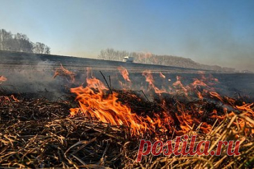 Россиян предупредили об угрожающей Краснодарскому краю опасности