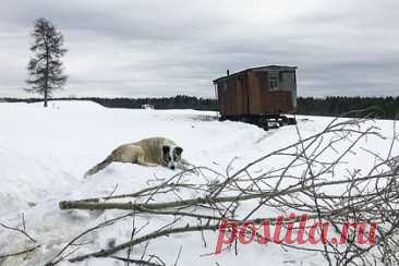 Части россиян пообещали зимнюю погоду на майских праздниках