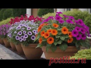 Some tips for using petunias in garden design. Садова петунія