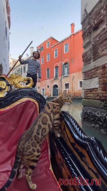 Enjoying a gondola ride at Venice - Italy. How adorable is he?