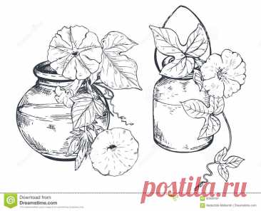 Bouquets With Hand Drawn Flowers And Plants In Vases Jars. Stock 120