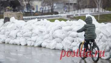 Уровень реки Тобол у Кургана начал снижаться. Уровень реки Тобол возле города Курган к 02:00 по московскому времени составляет 970 сантиметров. Об этом сообщается в Telegram-канале правительства Курганской области. &quot;По данным гидропоста на 04:00 (02:00 по московскому времени) на ...