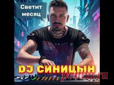 DJ СИНИЦЫН - Светит месяц, светит ясный