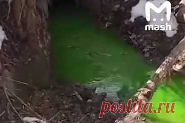 Ядовито-зеленый ручей испугал жителей российского города