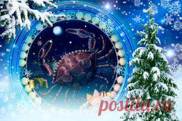 Рак гороскоп на неделю с 4 по 10 декабря 2023 года на каждый день | Astrorok.ru | Дзен