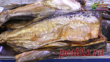 ЗАСОЛКА РЫБЫ В ТУЗЛУКЕ, солим рыбу профессионально со 100% результатом | Fisherman DV.27RUS | Дзен