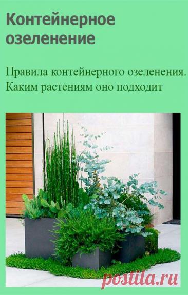 Контейнерное озеленение. Контейнерное озеленение - это удобное решение для декоративного цветоводства. Оно позволяет создавать оригинальные и неповторимые композиции, не прибегая к высаживанию растений в открытый грунт. Преимуществом цветника из контейнеров является его мобильность.