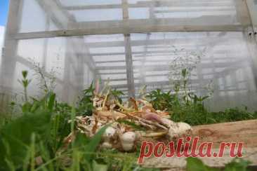 Чтобы весна не преподнесла сюрпризов: 10 запретов для дачника в конце октября. Вот список того, чего не стоит делать на даче в конце октября — чтобы не испортить участок, не навредить растениям и не создать лишних проблем.