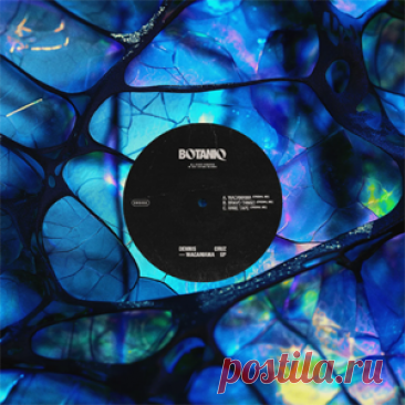 Dennis Cruz - Wacamama EP | 4DJsonline.com