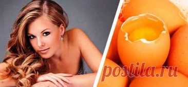 Делаем маску для поврежденных утюжками и плойками волос — Домашние заботы