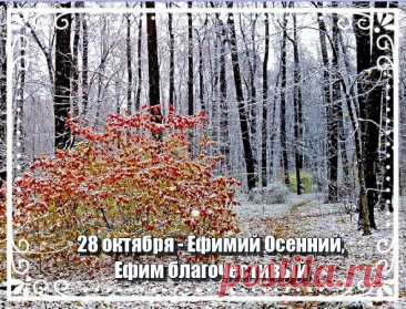Пусть ваша жизнь цветёт, как розы,
А в сердце будет доброта.
Желаем счастья вам, и грёзы,
И пусть сбывается мечта. Открытки на День памяти Ефимия Осеннего!