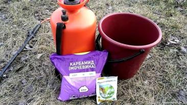 Дачников. Осенняя обработка сада