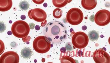 Состав крови. Лабораторная работа «Изучение микроскопического строения крови человека и лягушки». | PortalBio