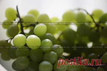 Green grapes close-up Стоковое фото, фотограф Ilaronsia / Фотобанк Лори
