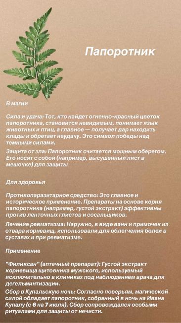 Папоротник для здоровья и в магии
