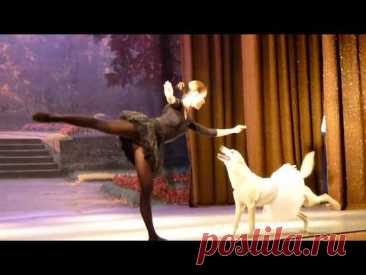 Парный балетный танец с собакой вызвал бурные аплодисменты зрителей