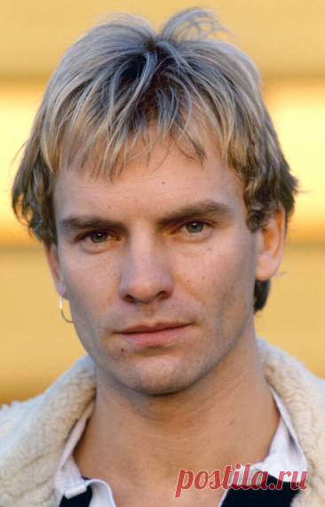 Sting, 1981