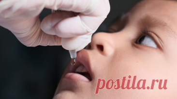 Врач Неронов: симптомы полиомиелита могут напоминать ОРВИ. Врач-инфекционист АО «Медицина» (клиника академика Ройтберга), д. м. н. Владимир Неронов рассказал, что лёгкая форма полиомиелита может напоминать ОРВИ. Читать далее