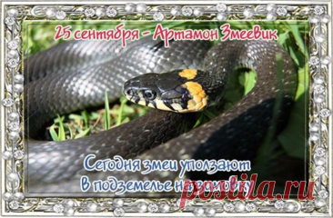 Для охотников день Артамона Змеевика считался особым, сулящим удачу на весь осенне-зимний сезон. Открытки на День Памяти Артамона Змеевика!