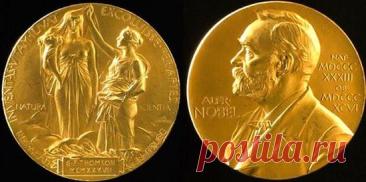 Откуда берут деньги на Нобелевскую премию?