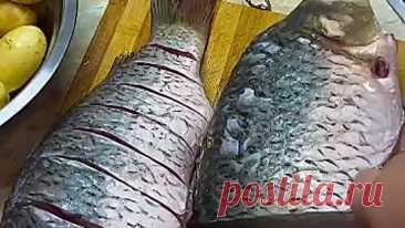 Сазан в духовке 🐟 Однозначно самый вкусный и простой рецепт рыбы с картофелем в духовке.
