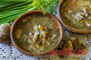 Щи летние с фасолью и белыми грибами. Рецепт с фото - Домашние рецепты приготовления вкусных блюд