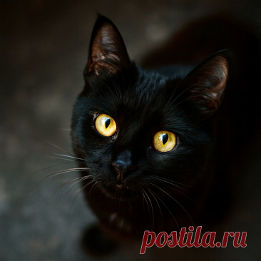 Путь к сердцу - OGADANIE.RU