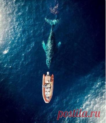 Интересные фото. – КРАСИВЫЕ КАРТИНКИ. ВИДЕО. МИР, В КОТОРОМ МЫ ЖИВЕМ! , пользователь Тумбина Марина | Группы Мой Мир