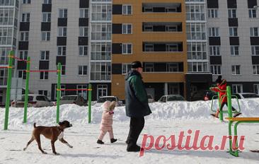 Россиянам назвали возможные размеры новой семейной выплаты. В среднем она составит 70-100 тыс. рублей в год, сообщила первый зампред комитета ГД по защите семьи, вопросам отцовства, материнства и детства Татьяна Буцкая