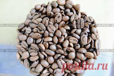 Coffee beans Стоковое фото, фотограф Ilaronsia / Фотобанк Лори