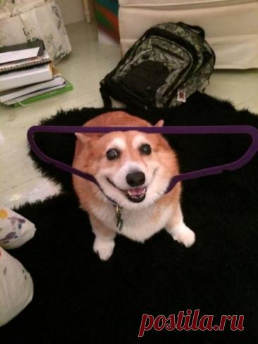 Когда попал в неловкое положение и тебе нужна помощь