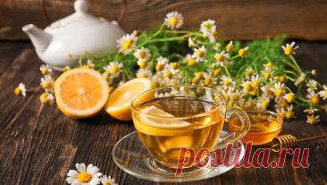 Названа неожиданная опасность травяных чаев. Ромашковый чай считается безобидным и разрешается даже детям. Однако с другими популярными травами - не все так просто. Об этом в интервью "Радио 1" предупредила диетолог Наталья Павлюк. "Главная опасность кроется не в ...