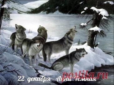 Святая Анна считается покровительницей беременных, матерей и бездетных, ей молятся об укреплении сил и благополучном разрешении от бремени. Открытки на День Анны Тёмной!