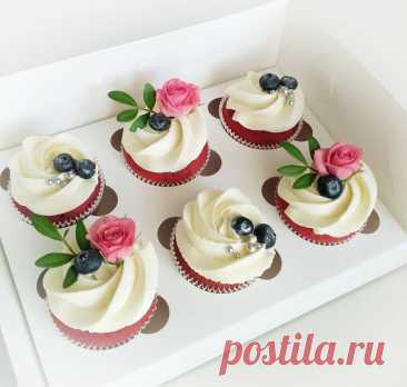 LBWn17Vf6q6QqM-y6V07pu1psPWR5SuzYroImhWGdWMIWwO_j9icBQ3POT19VfjxP7crcNOODIwEBR9O55d-rfPx.jpg (1080×1027)