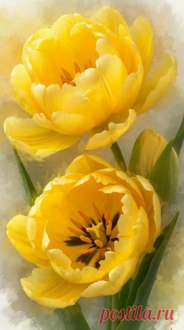 Пин на доске яТЮЛЬПАНЫ