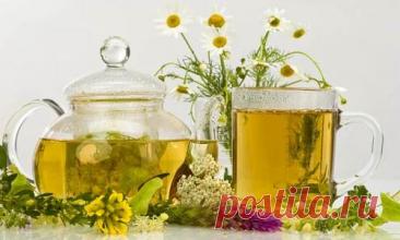 Лечение головной боли травами.