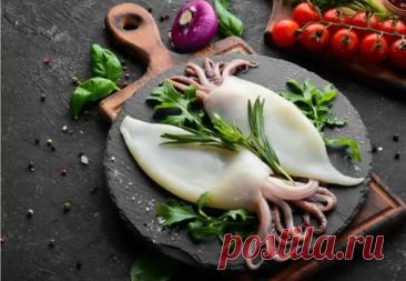 Все о кальмаре: выбор продукта, секреты приготовления и хранения, рецепты