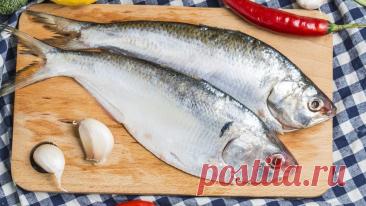 Как засолить селедку: 5 способов быстро и вкусно приготовить слабосоленую сельдь целиком или кусочками в домашних условиях