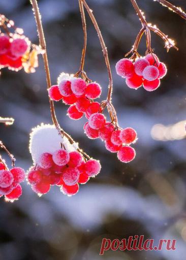 Андрей Хаймин - профессиональный фотограф