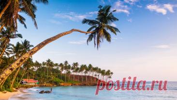 Россияне почти три дня не могут улететь из Шри-Ланки. Российские граждане почти три дня не могут улететь из Шри-Ланки. Об этом сообщает Life.ru со ссылкой на SHOT. Рейс из Хамбантоты в Москву перенесли с 18 на 21 декабря. Перевозчик заявил, что причиной стало отсутствие свободных ...