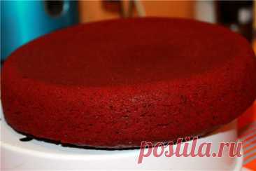 Коржи для самого вкусного торта «Красный бархат»
