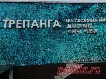 Музей трепанга