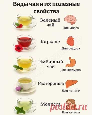 ВИДЫ ЧАЯ И ИХ ПОЛЕЗНЫЕ СВОЙСТВА