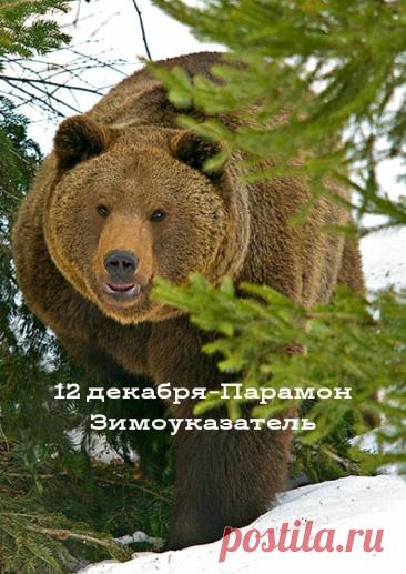 С Парамоном-Зимоуказателем! Пусть зима нарядится в шубу, а в доме будет печь тепло топить! С праздником стужи! Открытки на День Парамон Зимоуказатель!