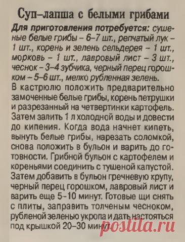 Суп-лапша с белыми грибами