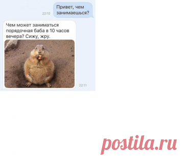 250dbebe.png (1024×876)