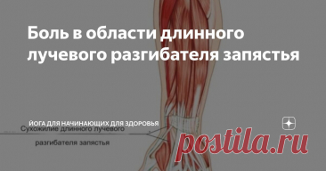 Боль в области длинного лучевого разгибателя запястья Статья автора «Йога для начинающих для здоровья» в Дзене ✍:   Длинный лучевой разгибатель запястья – это мышца предплечья, играющая ключевую роль в разгибании лучезапястного сустава.