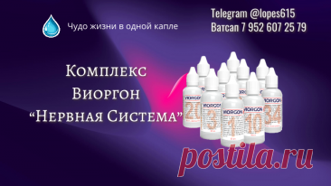 Комплекс «Нервная Система» на Основе Виоргонов Комплекс «Нервная Система» на Основе Виоргонов. Именно для восстановления этого тонкого баланса был разработан инновационный подход с использованием В