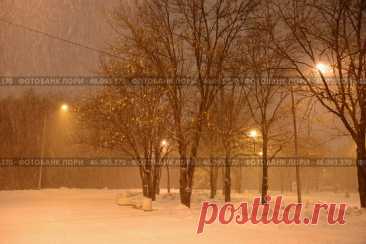 A snowy street with trees and street lights at winter night. Парк имени 50-летия Октября ночью зимой. Стоковое фото, фотограф Ilaronsia / Фотобанк Лори